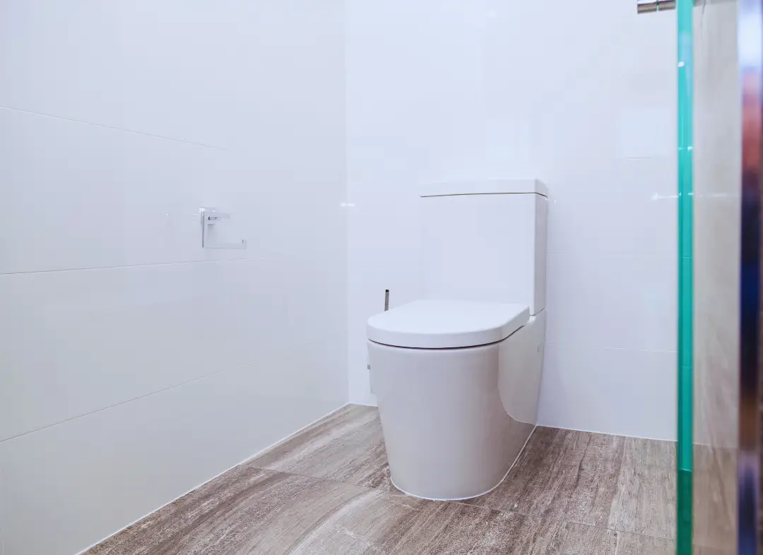 Remplacement de wc La Tour-d'Aigues